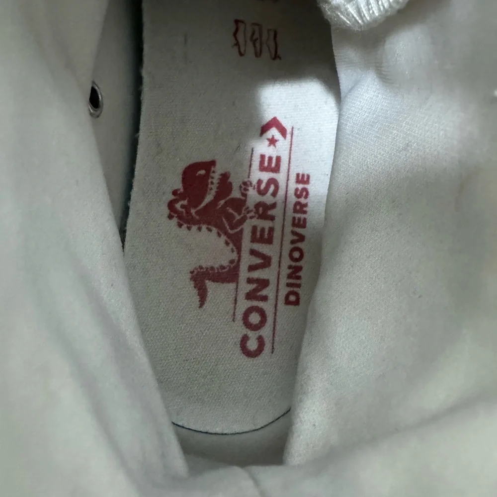 Converse Dinoverse Sneakers